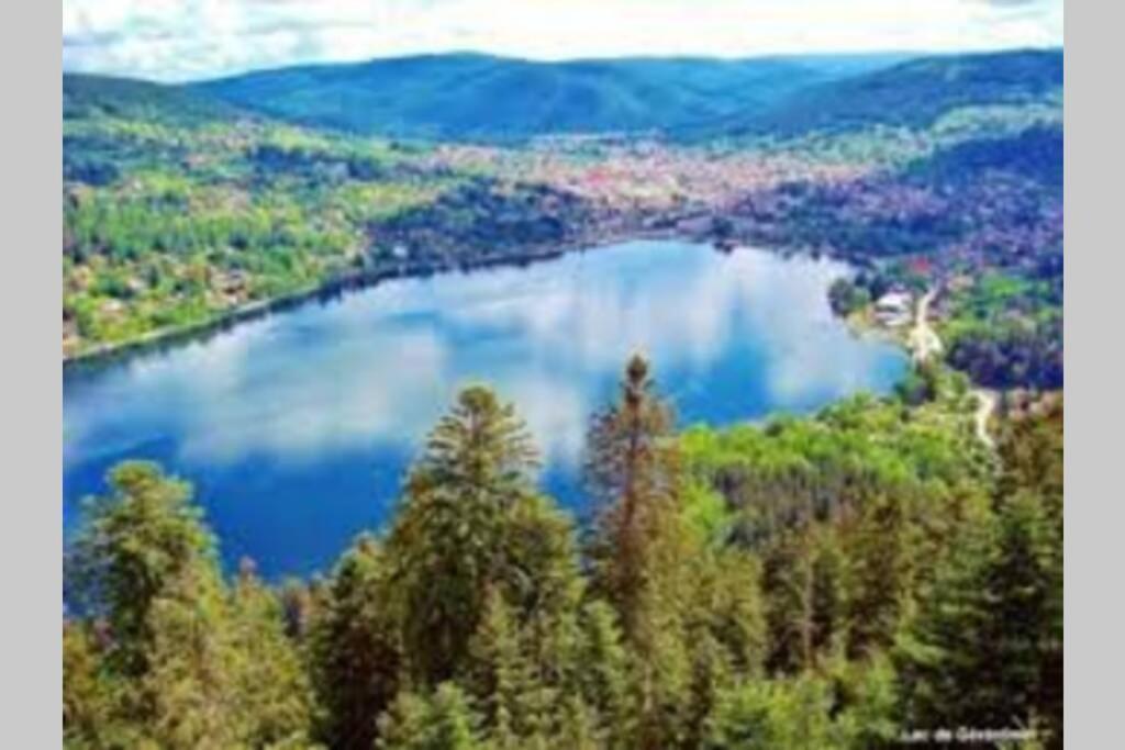 Chalet Charligustine - Gerardmer - 8P Екстер'єр фото